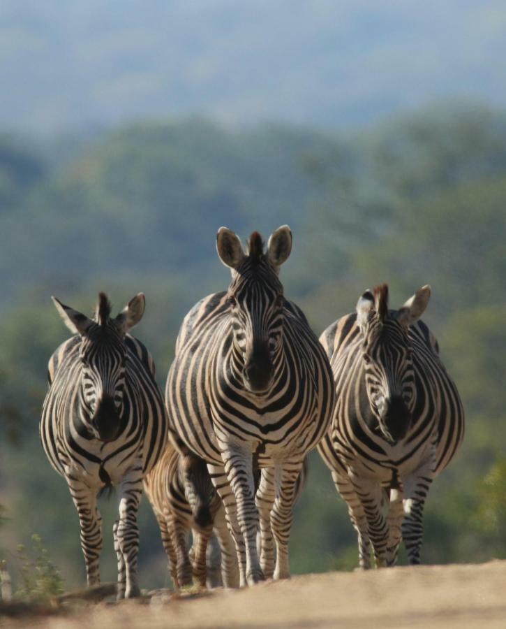 Готель Parsons Hilltop Safari Camp Заповідник Балуле Екстер'єр фото